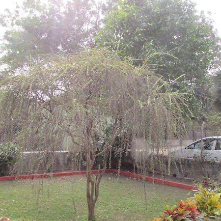 Aayesh Bed & Breakfast Shantiniketan Bagian luar foto