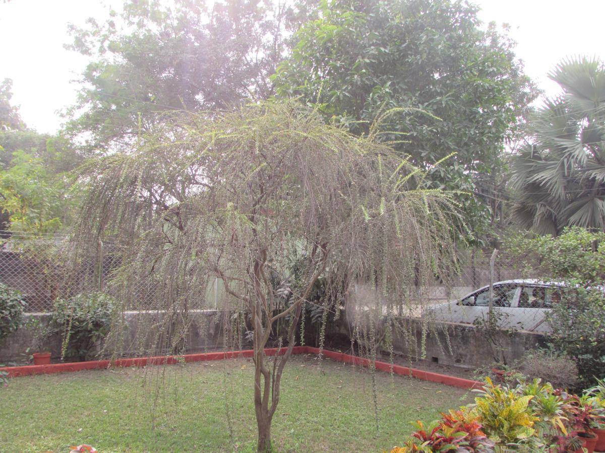Aayesh Bed & Breakfast Shantiniketan Bagian luar foto